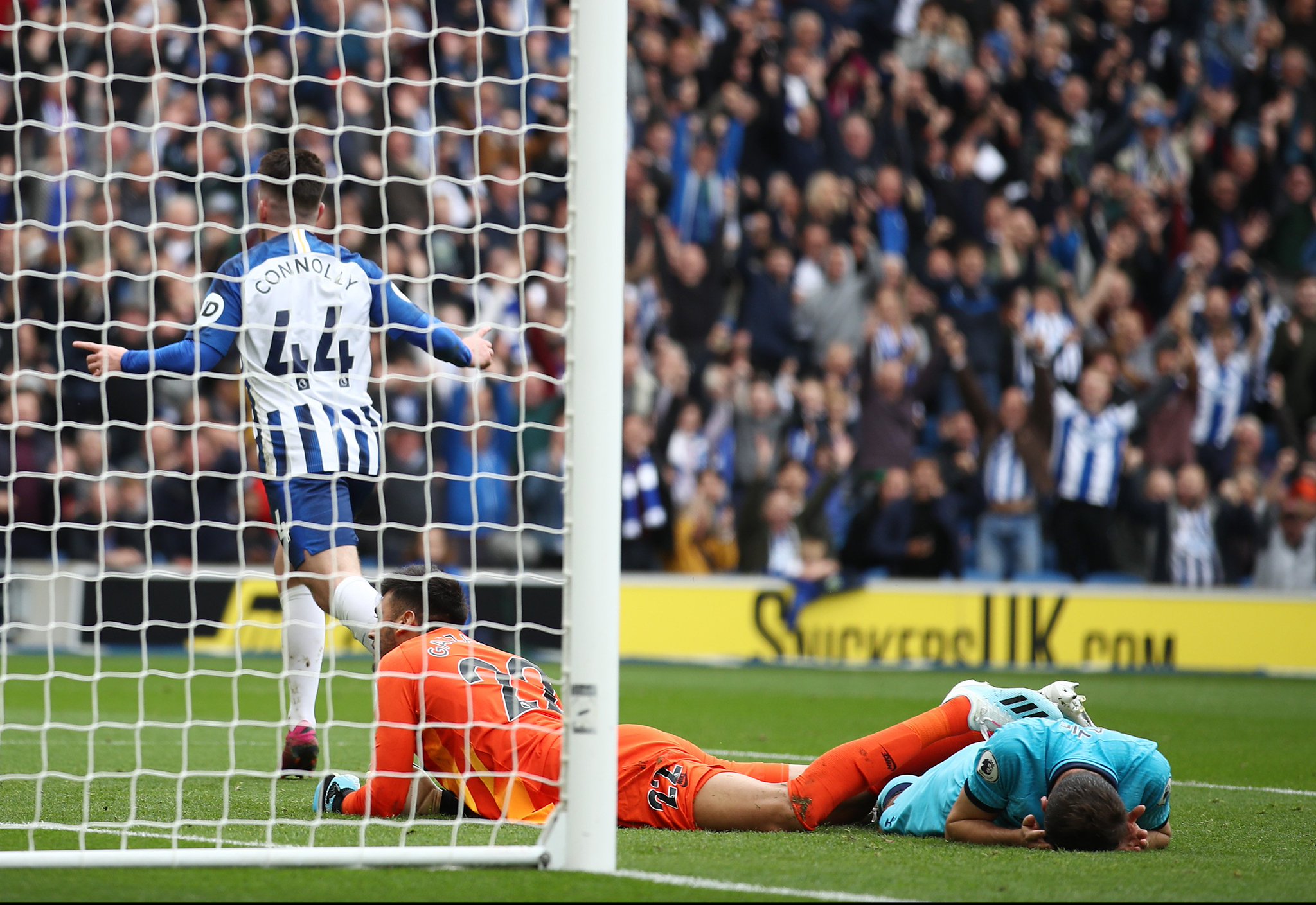 注于为阿尔 注于为阿尔