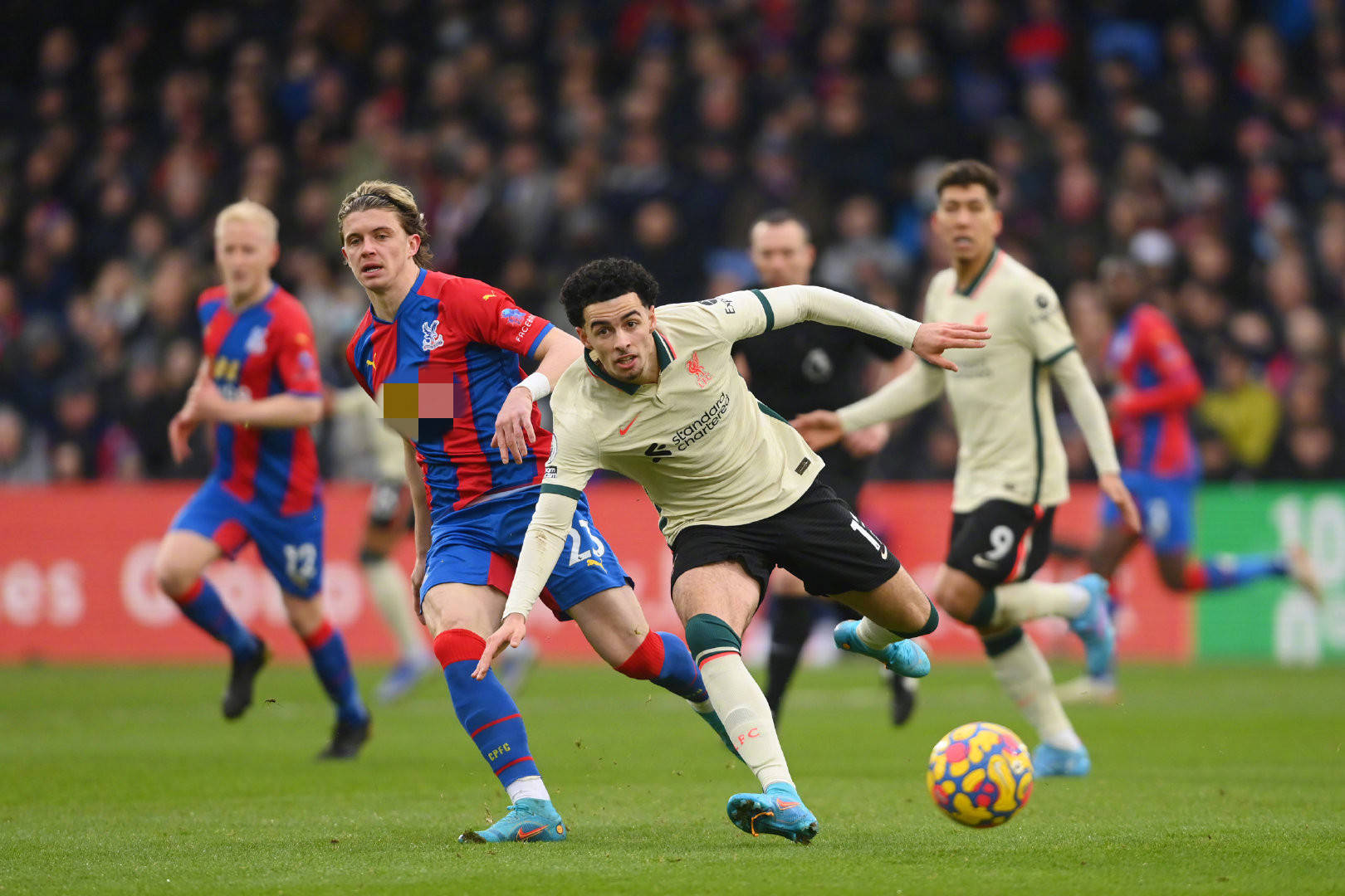 这一变量不 这一变量不