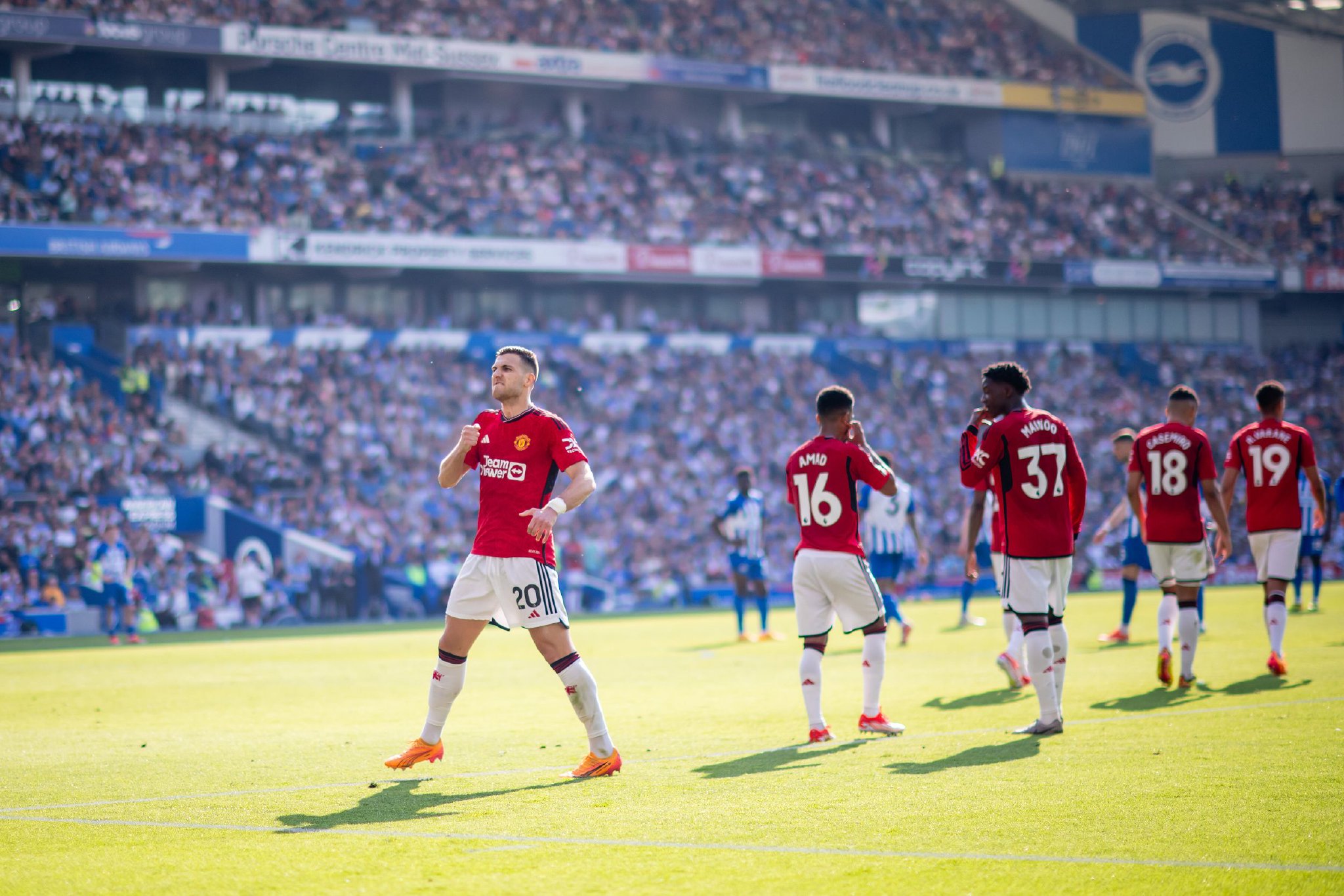 几位新引进 几位新引进